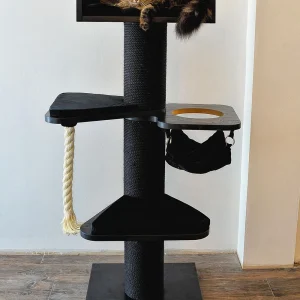 ROYAL MAINE COON CROWN DE LUXE (Nero)