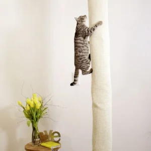 Sacco da arrampicata da pavimento a soffitto