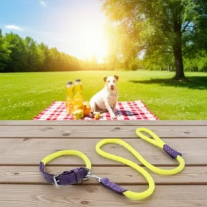 Sailing Line set in Corda Giallo &amp; Viola