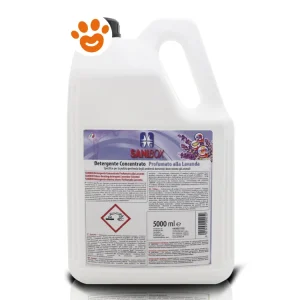 Sanibox Detergente Concentrato alla Lavanda