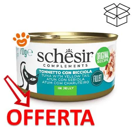 Schesir Cat Adult Filetti di Tonnetto con Ricciola - Image 2