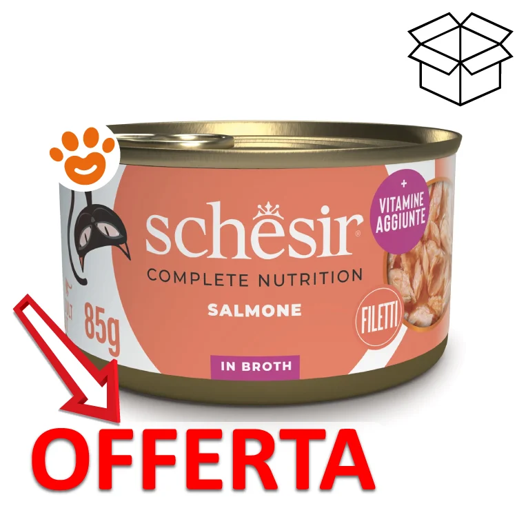 Schesir Cat Salmone in Brodo - Image 2