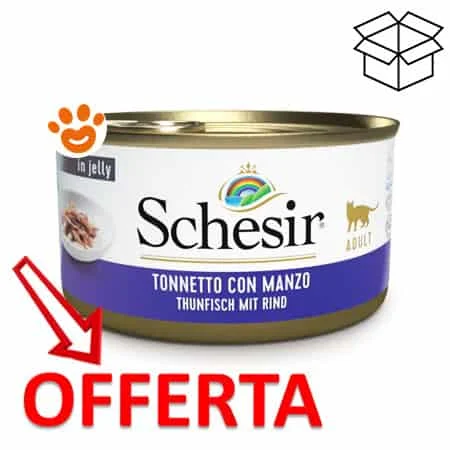 Schesir Cat Tonnetto con Filetti di Manzo - Image 2