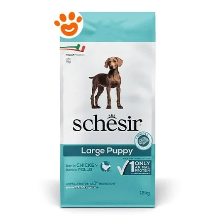 Schesir Dog Large Puppy Ricco in Pollo