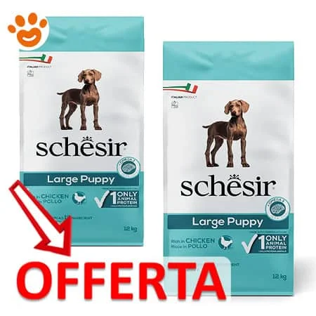 Schesir Dog Large Puppy Ricco in Pollo - Image 2
