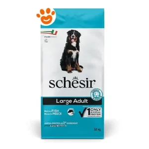 Schesir Dog Large Ricco in Pesce