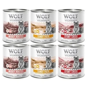Wolf of Wilderness Senior "Expedition", 6 x 800 g