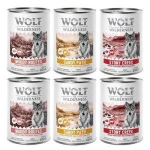 Set prova misto! Wolf of Wilderness Senior umido per cane