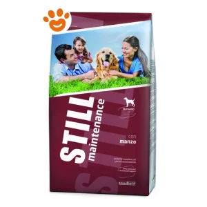 Still Dog Maintenance con Manzo