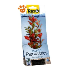Tetra Decoart Red Ludwigia M