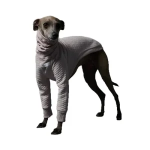 The Striped Dog - California