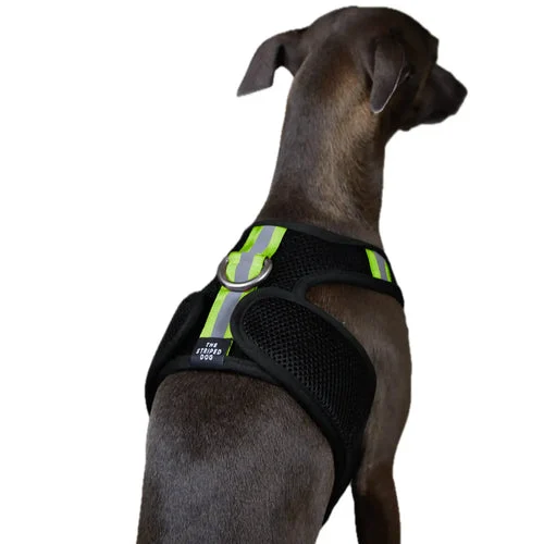 The Striped Dog - Chroma Nero