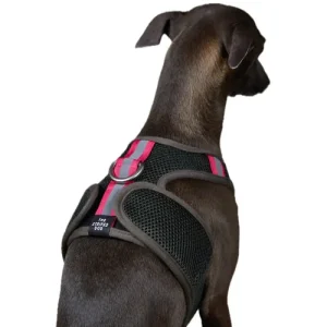 The Striped Dog - Chroma Verde Militare