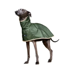 The Striped Dog - Paramount Verde