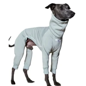 The Striped Dog - Riverside Verde Menta