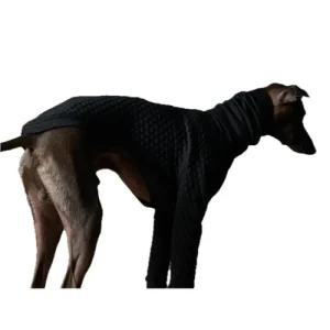 The Striped Dog - Rodeo