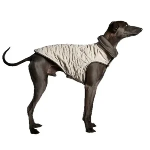 The Striped Dog - Sunset Crema