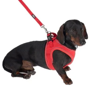 TIAKI Guinzaglio per cani a rete, rosso