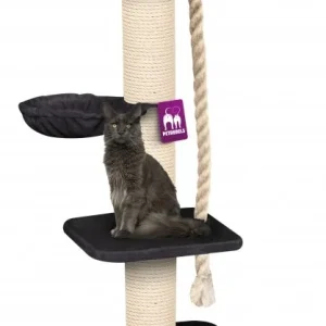 Tiragraffi 173cm The Rebels Maine Coon (Nero Royal)