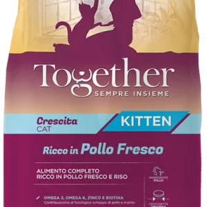 Together gatto
