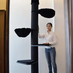 TORRE DEL PROCIONE DEL MAINE DELUXE (LINEA NERA)