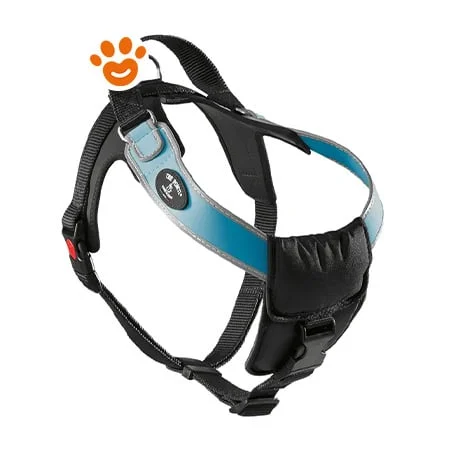 Treponti Dog Potenza Pettorina con Bordo Rifrangente M