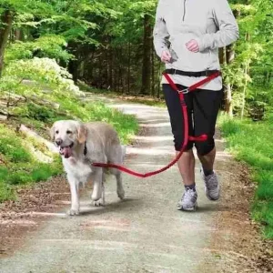 TRIXIE CINTURA IN VITA CON GUIN. CON IMBOT. ROSSA