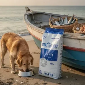 Uovo e Mare Benessere al Pesce