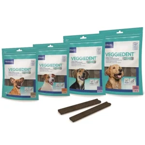 VEGGIEDENT FR3SH