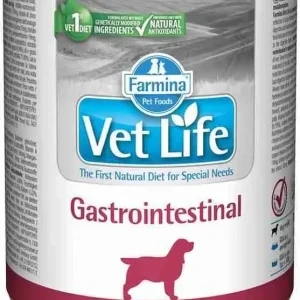 VET LIFE DOG LATT. GASTRO-INTESTINAL GR. 300