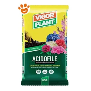 Vigorplant Ornamentali Terriccio per Acidofile
