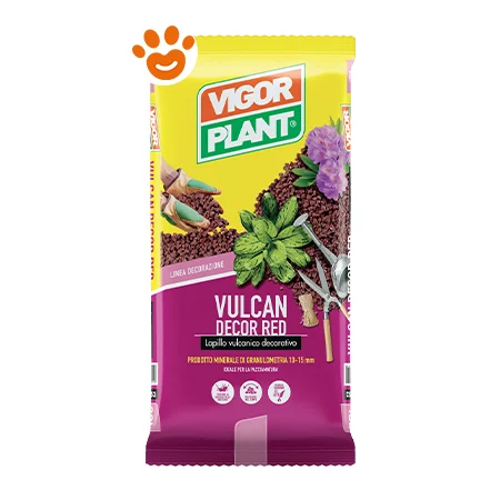 Vigorplant Vulcan Decor Red