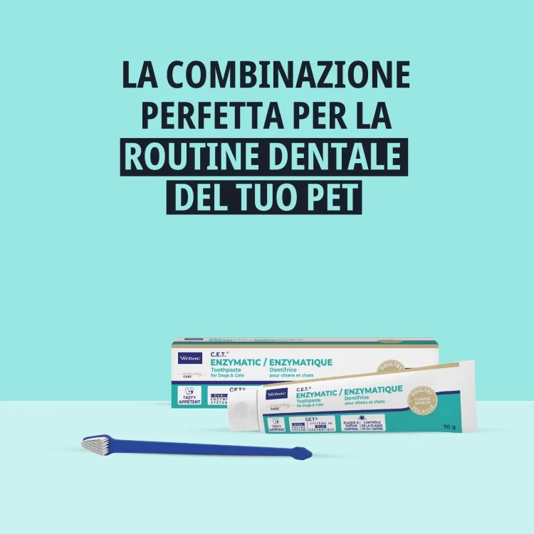 Virbac Dog&Cat Dentifricio Enzimatico (Kit+Spazzolino) - Image 2