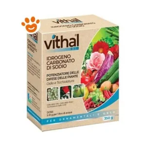 Vithal Garden Idrogeno Carbonato di Sodio