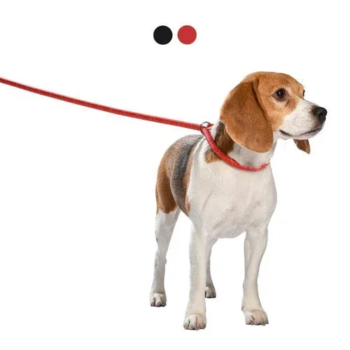 Walk: guinzaglio e collare 2in1 Bobby