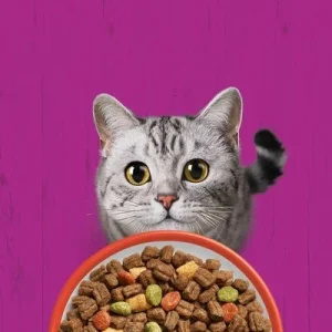 Whiskas 1+ Manzo