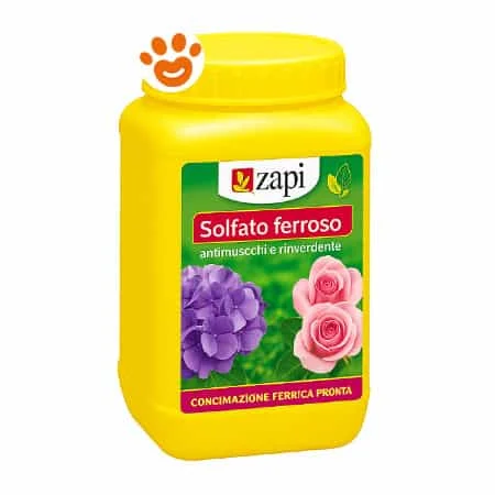 Zapi Solfato Ferroso Correttivo