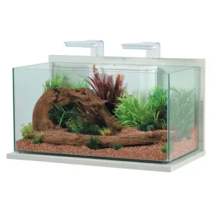 Zolux Acquario Idro 60 bianco